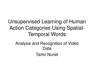 Unsupervised Learning of Human Action Categories Using Spatial-Temporal Words