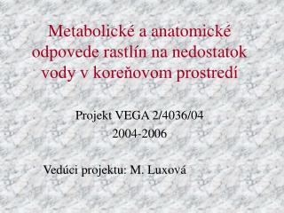 Metabolické a anatomické odpovede rastlín na nedostatok vody v koreňovom prostredí