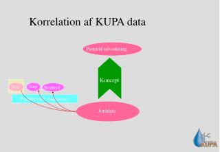 Korrelation af KUPA data