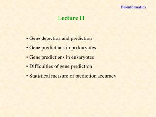 Lecture 11