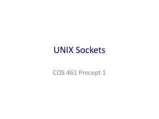 UNIX Sockets