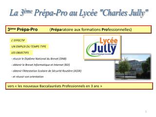 La 3 ème Prépa-Pro au Lycée &quot;Charles Jully&quot;