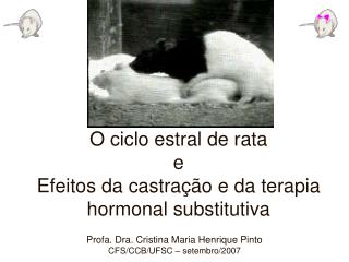 O ciclo estral de rata e Efeitos da castração e da terapia hormonal substitutiva