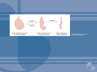 FIGURA 18.9Papel do surfactante na prevenção de atelectasia.