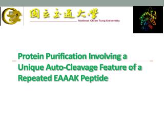 Protein Purification Involving a Unique Auto-Cleavage Feature of a Repeated EAAAK Peptide