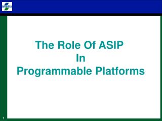 The Role Of ASIP In Programmable Platforms