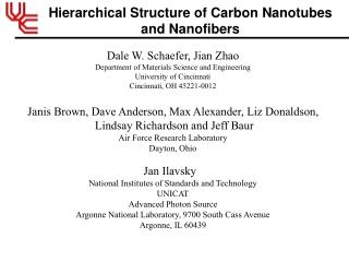 Hierarchical Structure of Carbon Nanotubes and Nanofibers