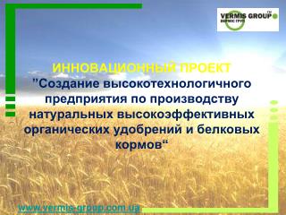 vermis-group.u a