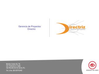 Gerencia de Proyectos Directriz