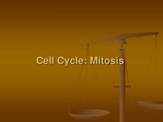 Cell Cycle: Mitosis