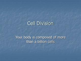 Cell Division