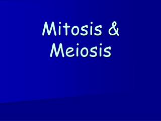 Mitosis &amp; Meiosis