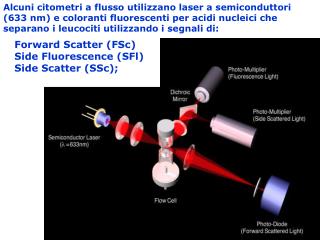 Forward Scatter (FSc) Side Fluorescence (SFl) Side Scatter (SSc);