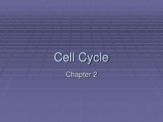 Cell Cycle