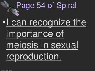 Page 54 of Spiral
