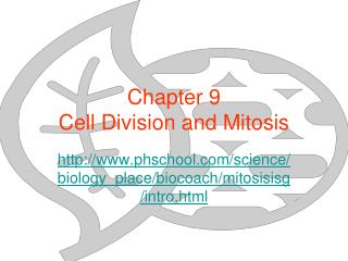 Chapter 9 Cell Division and Mitosis