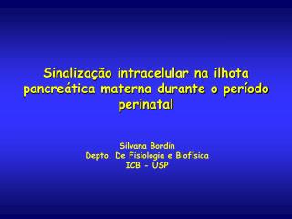 Sinalização intracelular na ilhota pancreática materna durante o período perinatal