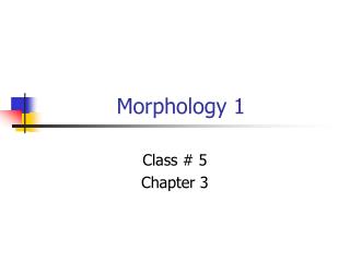 Morphology 1