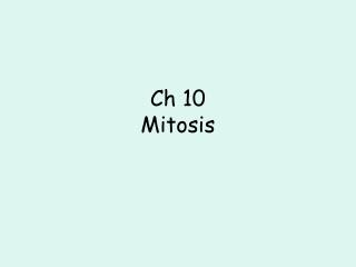 Ch 10 Mitosis