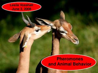 Pheromones and Animal Behavior