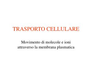 TRASPORTO CELLULARE