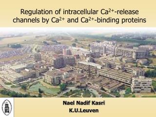 Regulation of intracellular Ca 2+ -release channels by Ca 2+ and Ca 2+ -binding proteins
