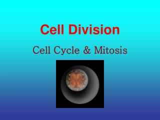 Cell Division