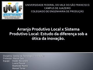 Arranjo Produtivo Local x Sistema Produtivo Local: Estudo da diferença sob a ótica da inovação.