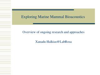 Exploring Marine Mammal Bioacoustics