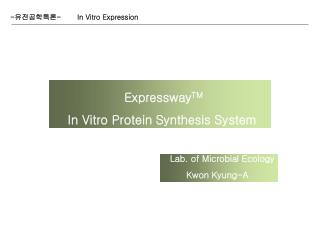 - 유전공학특론 - In Vitro Expression