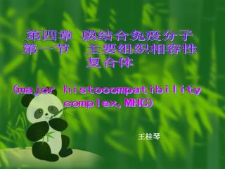 第四章 膜结合免疫分子 第一节 主要组织相容性 复合体 ( major histocompatibility complex,MHC)