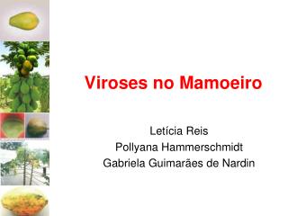 Viroses no Mamoeiro