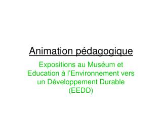 Animation pédagogique