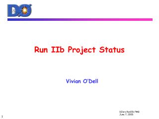 Run IIb Project Status