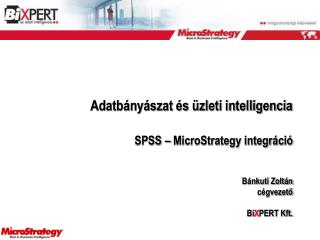 Adatbányászat és üzleti intelligencia SPSS – MicroStrategy integráció
