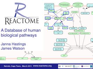 A Database of human biological pathways Janna Hastings James Watson