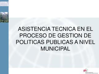 ASISTENCIA TECNICA EN EL PROCESO DE GESTION DE POLITICAS PUBLICAS A NIVEL MUNICIPAL