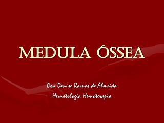 MEDULA ÓSSEA