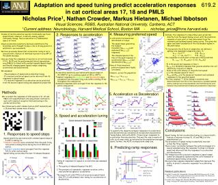 Adaptation and speed tuning predict acceleration responses in cat cortical areas 17, 18 and PMLS