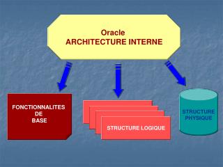 STRUCTURE PHYSIQUE