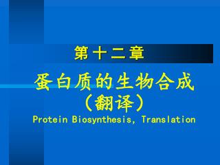 蛋白质的生物合成 （翻译） Protein Biosynthesis ， Translation