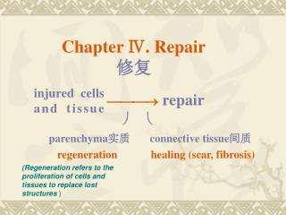 Chapter Ⅳ. Repair 修复