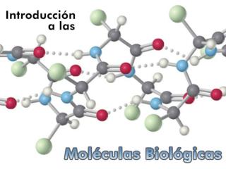 COMPOSICIÓN DE LA MATERIA VIVA