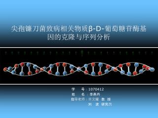 尖孢镰刀菌致病相关物质 β-D- 葡萄糖苷酶基因的克隆与序列分析