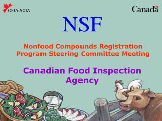 NSF