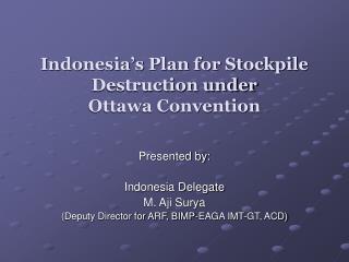 Indonesia’s Plan for Stockpile Destruction under Ottawa Convention