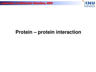 Protein – protein interaction