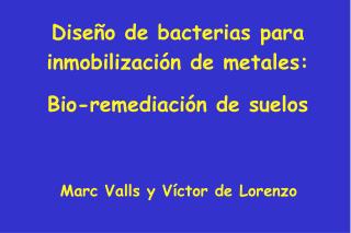 Diseño de bacterias para inmobilización de metales: Bio-remediación de suelos