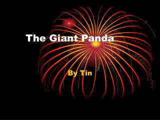 The Giant Panda