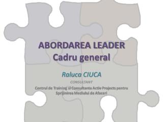 ABORDAREA LEADER Cadru general